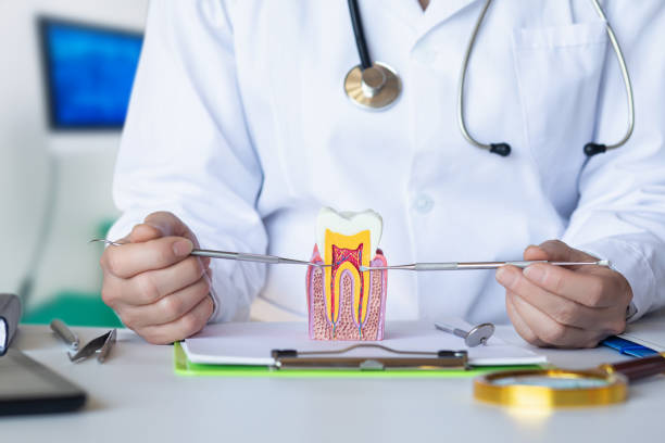 Best Emergency Broken Tooth Repair in Britton, SD